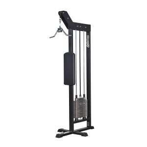 251 Triceps Pushdown
