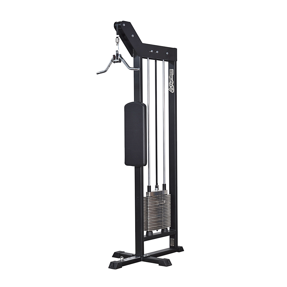 251 Triceps Pushdown
