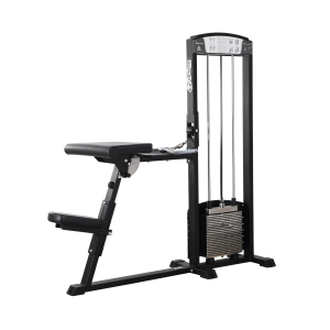 255 Biceps Curl Triceps Extension