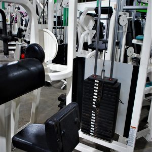Life Fitness Pro Series Arm Extension
