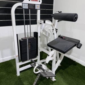 Life Fitness Pro Series Lower Back Extension