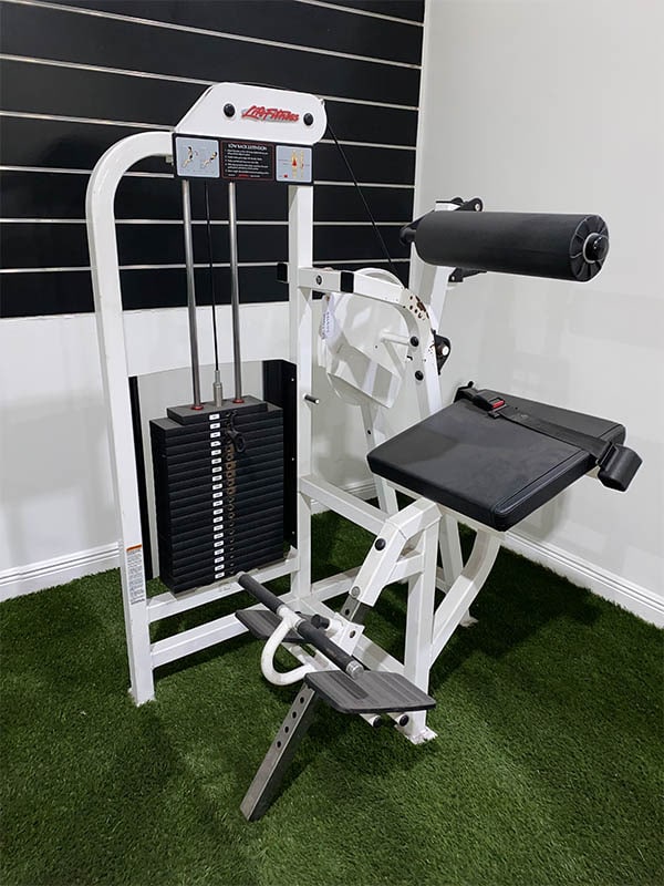 Life Fitness Pro Series Lower Back Extension