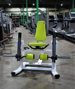 Precor Discovery Plate Loaded Leg Extension
