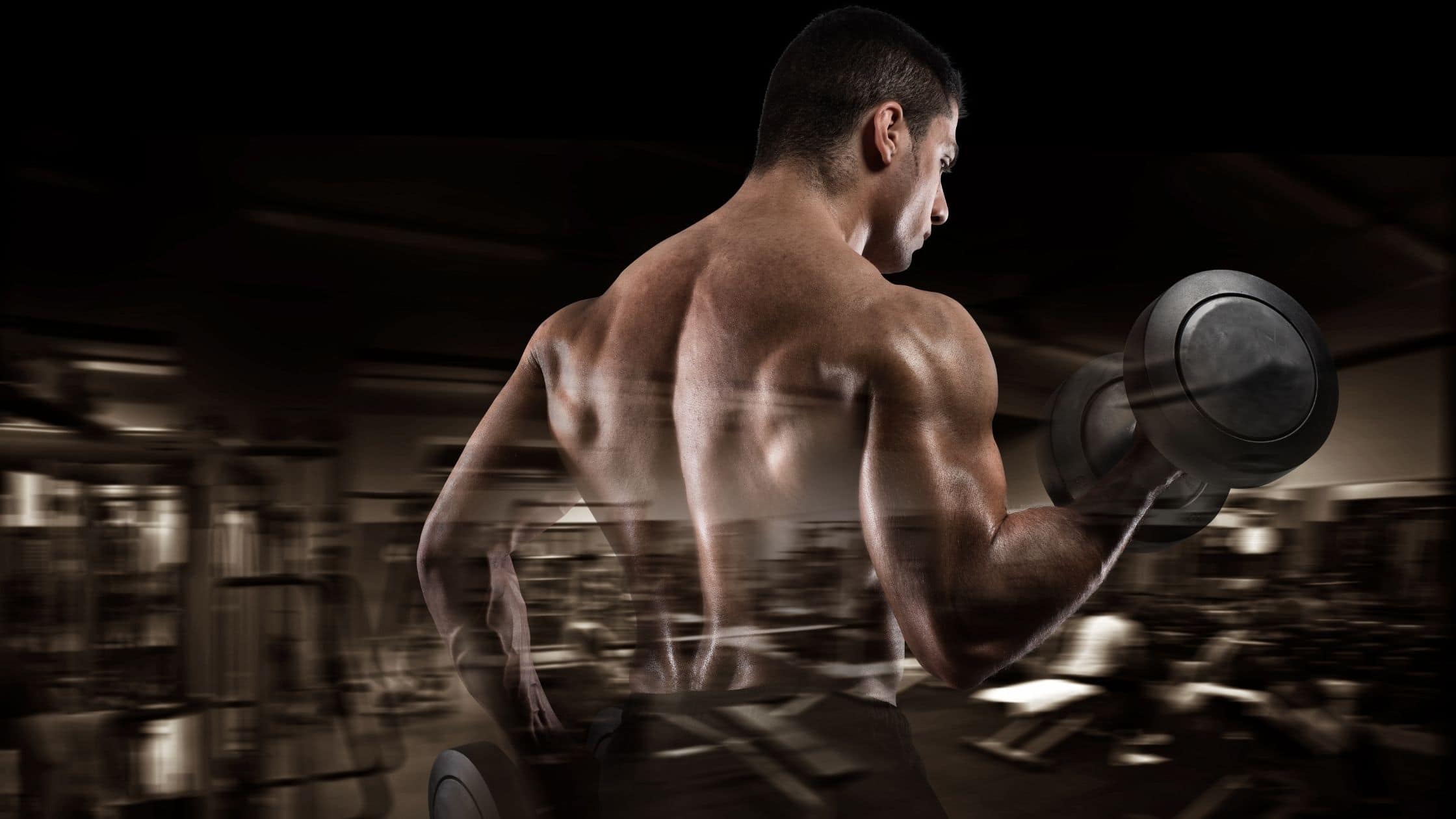 Best Gym Equipment for Biceps