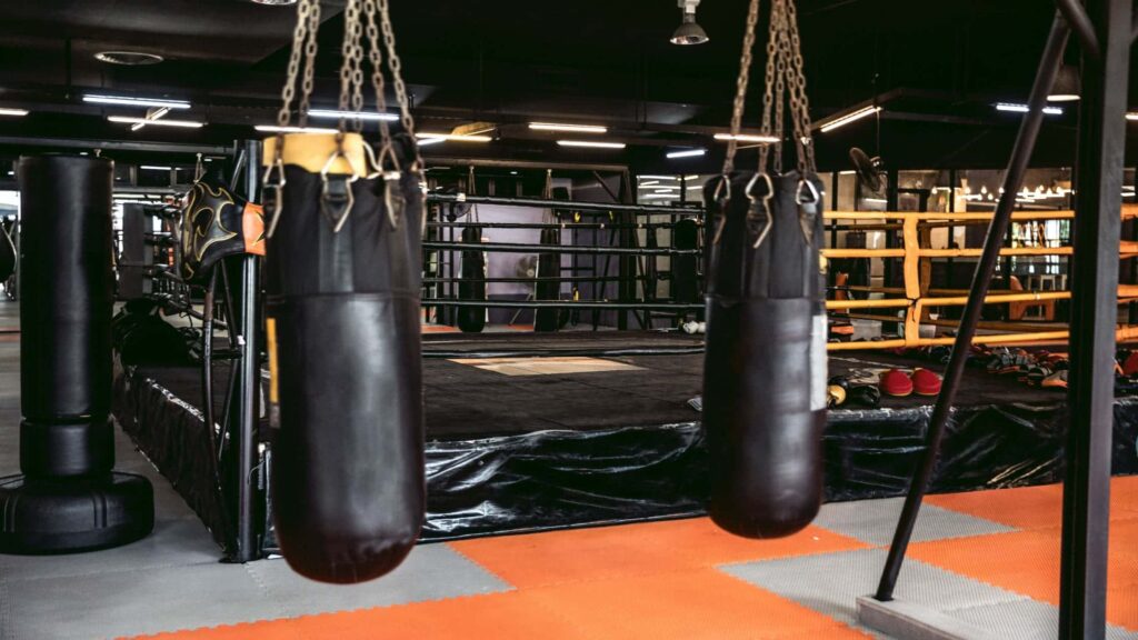 Best Gym Equipment Brands Best Used Gym Equipment