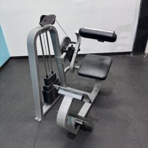 Precor Icarian  Low Back Extension