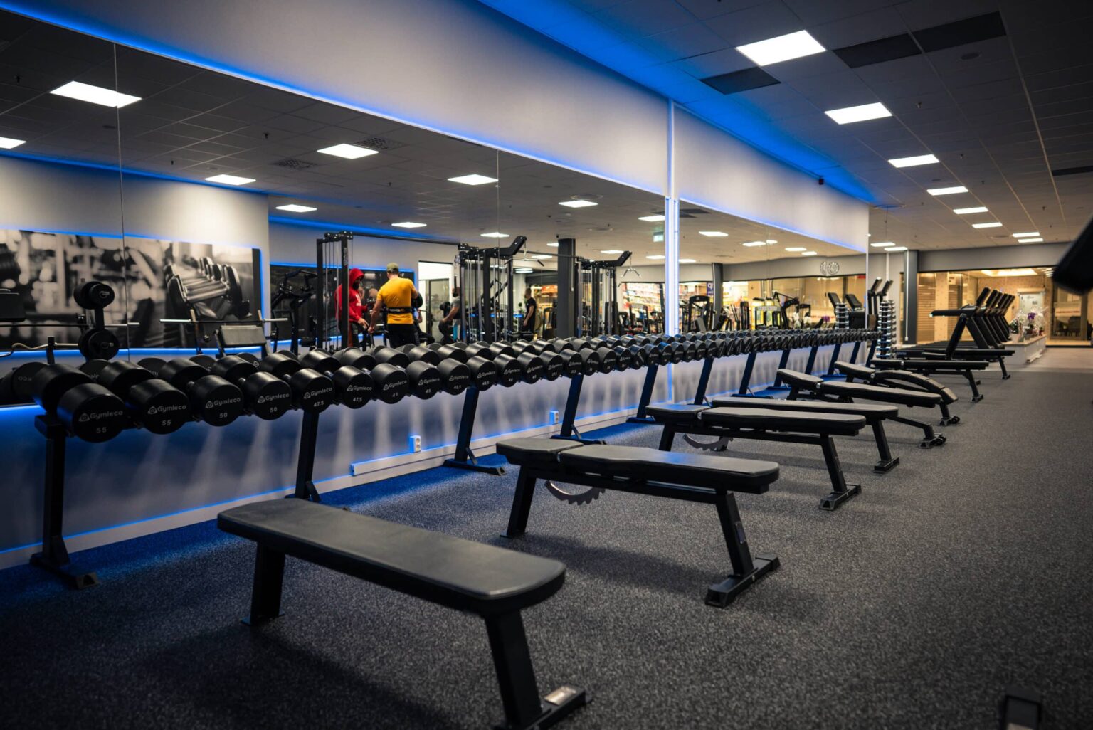 Gymleco 191 Fixed Flat Bench | Best Used Gym Equipment