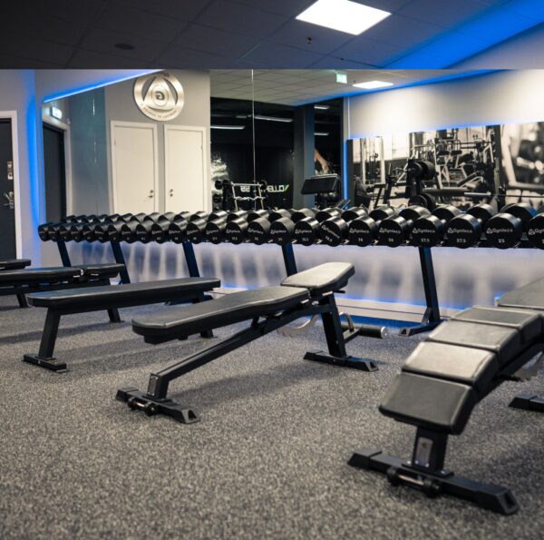 Gymleco 193 Adjustable Decline Bench