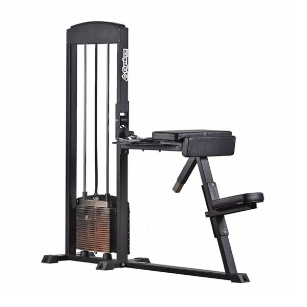 Gymleco 255 Biceps/Triceps Extensions