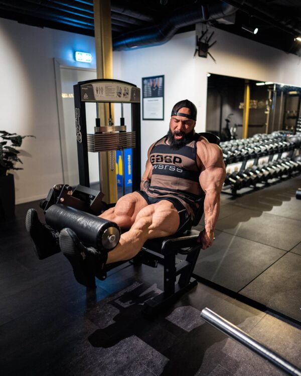 Gymleco 340R Leg Extension, Rehab