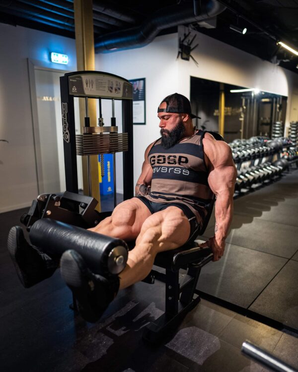 Gymleco 340R Leg Extension, Rehab