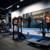 Gymleco 082 Belt Squat Machine