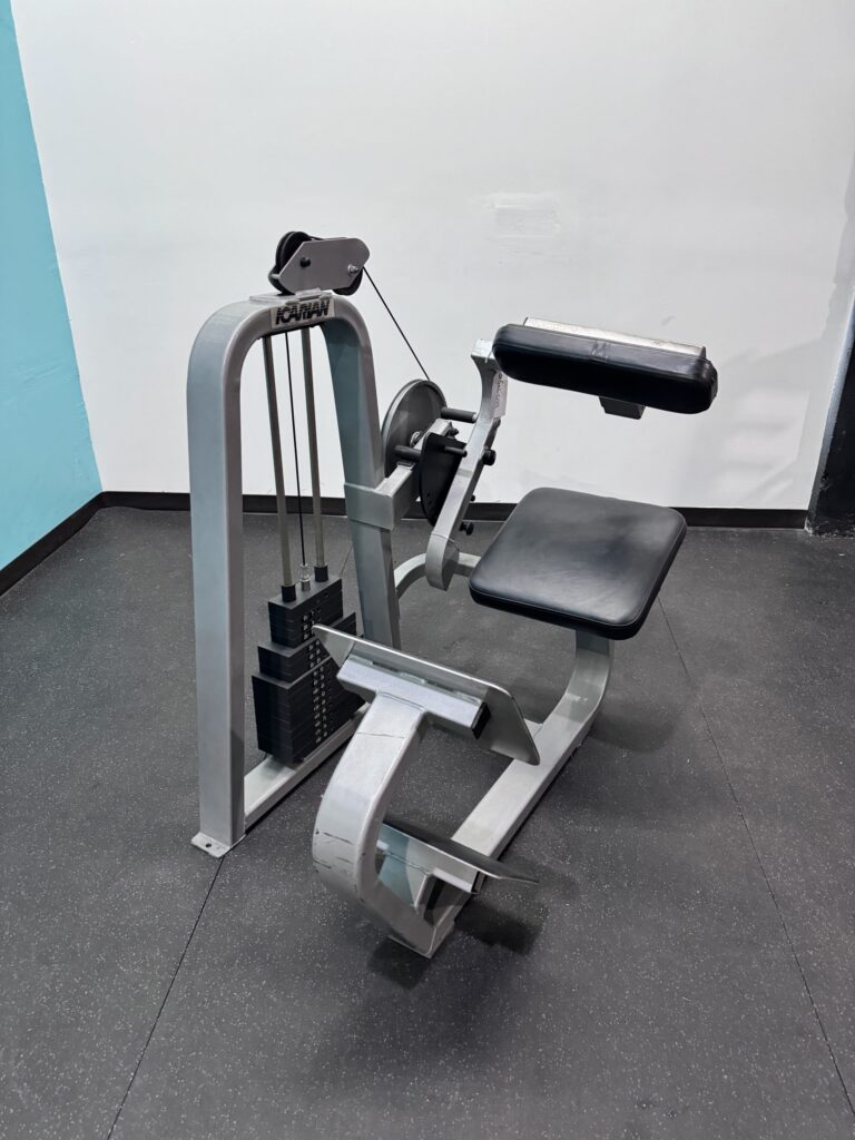 Precor Icarian Low Back Extension | Best Used Gym Equipment
