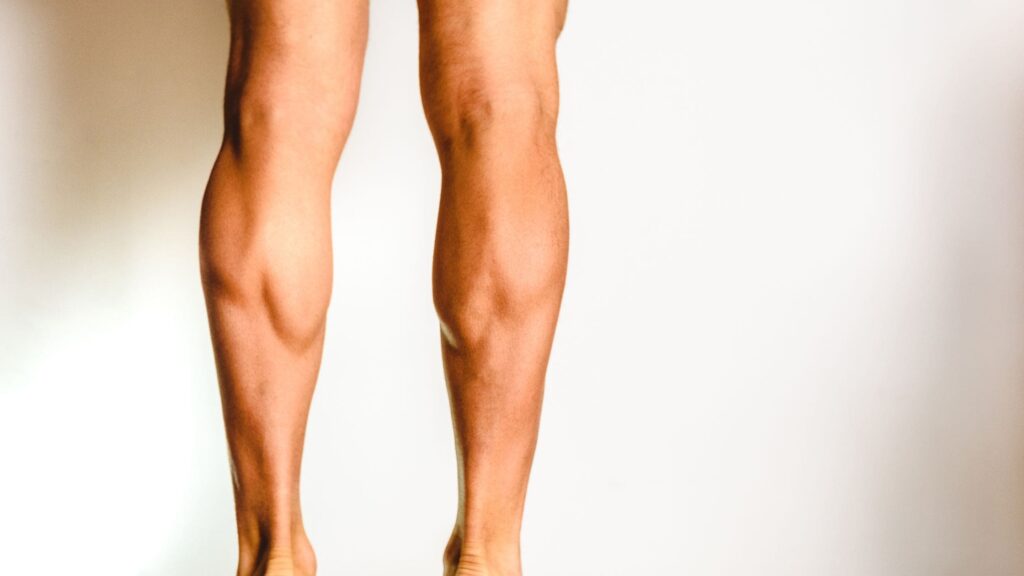 Calves