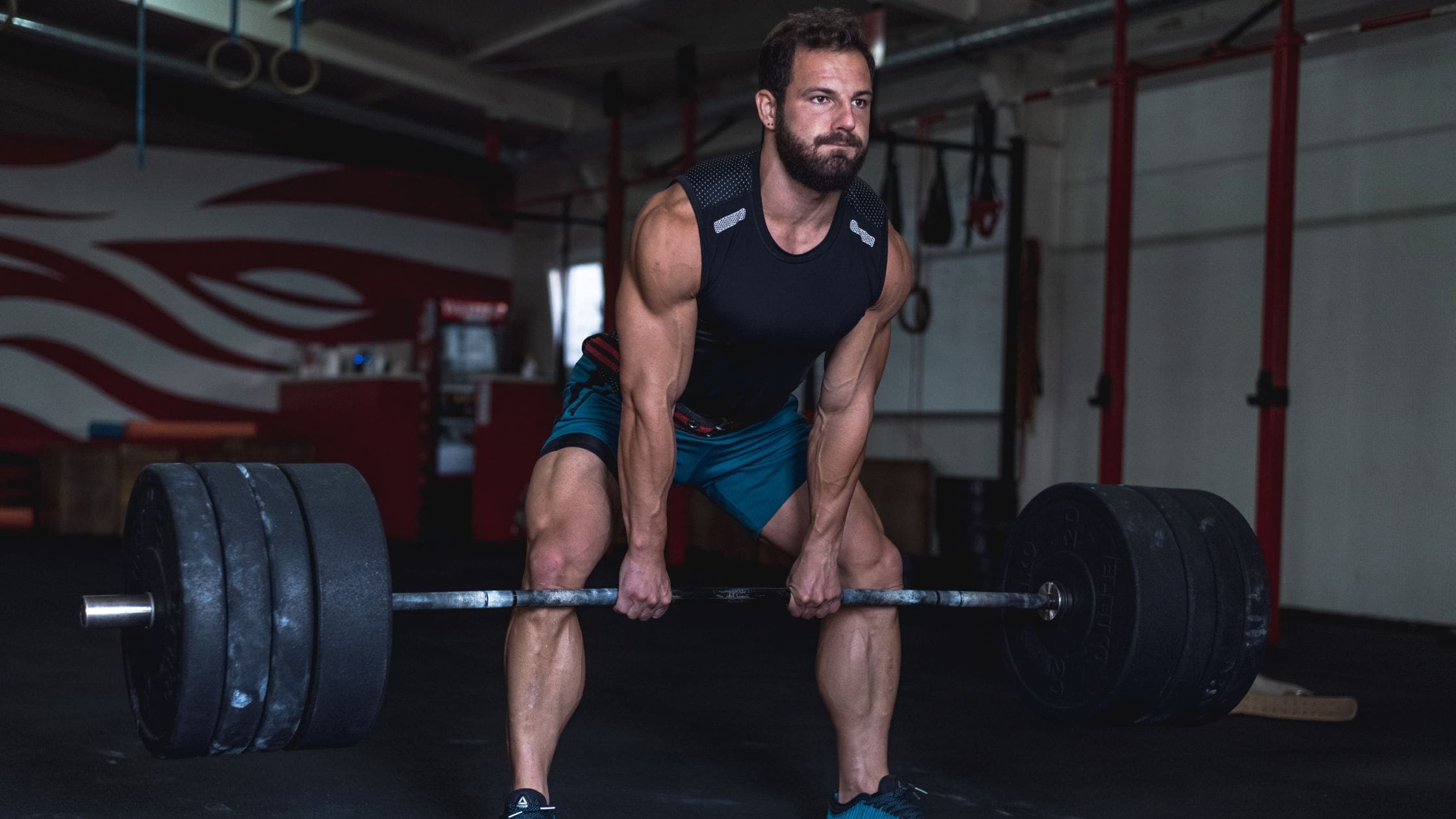 Free Weights Guide: Types, Advantages, Workouts and Comparison to Machines