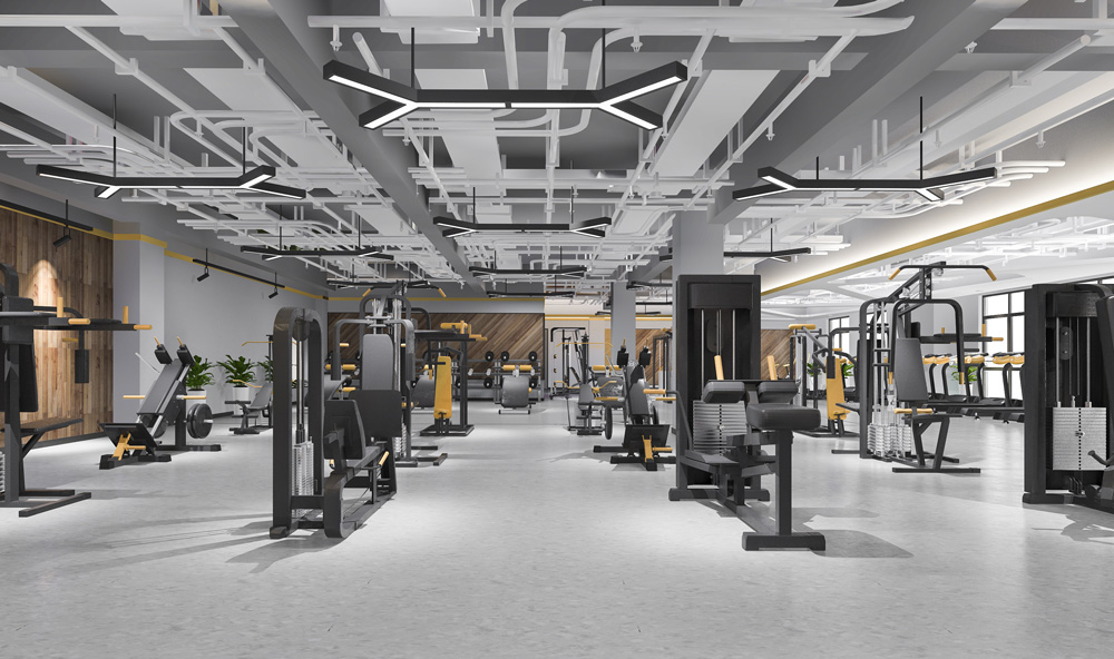 Gym 1