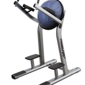 Life Fitness Leg Raise