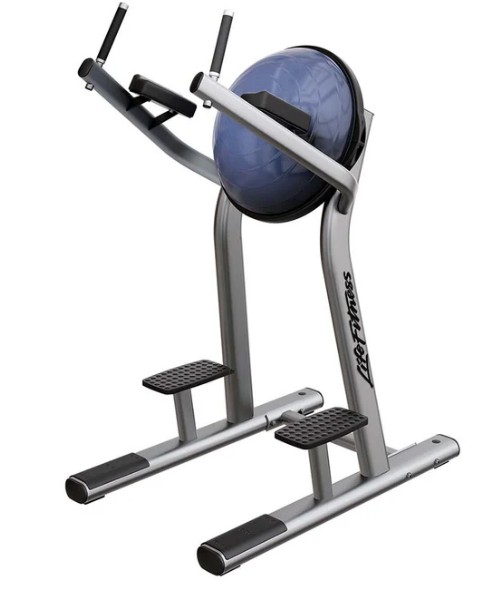 Life Fitness Leg Raise