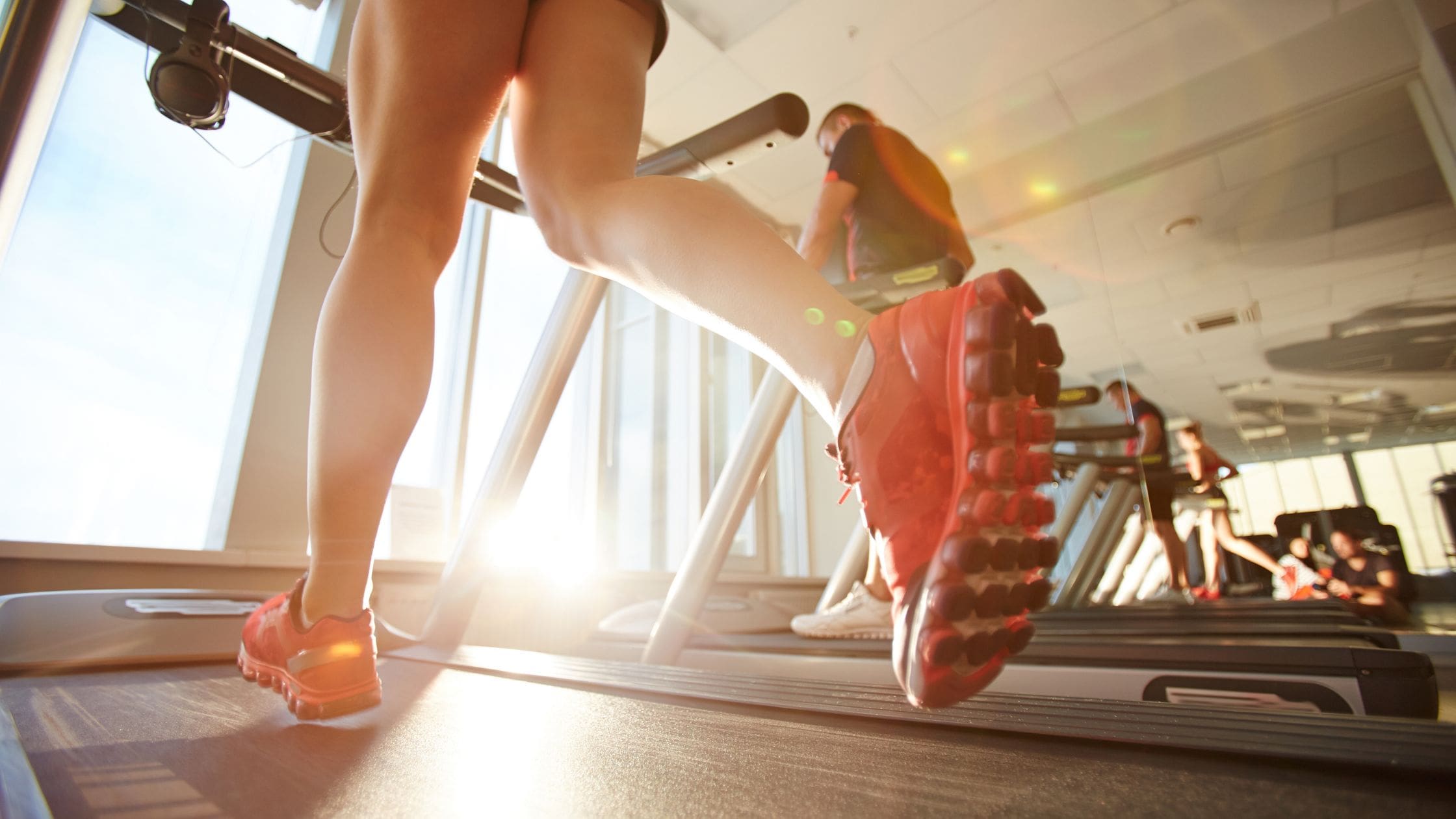 Cardio Machines and Equipment: Types