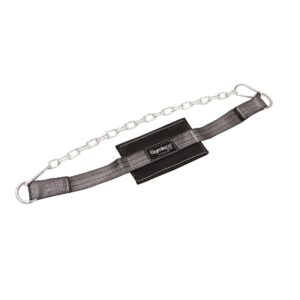 Dip Belt Gymleco