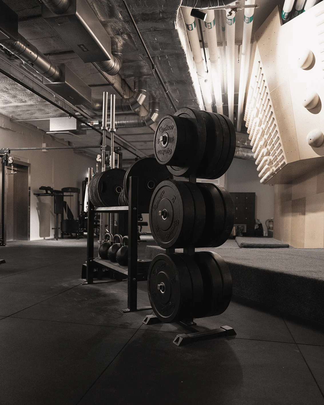 Gymleco 824h Training Weight Plates