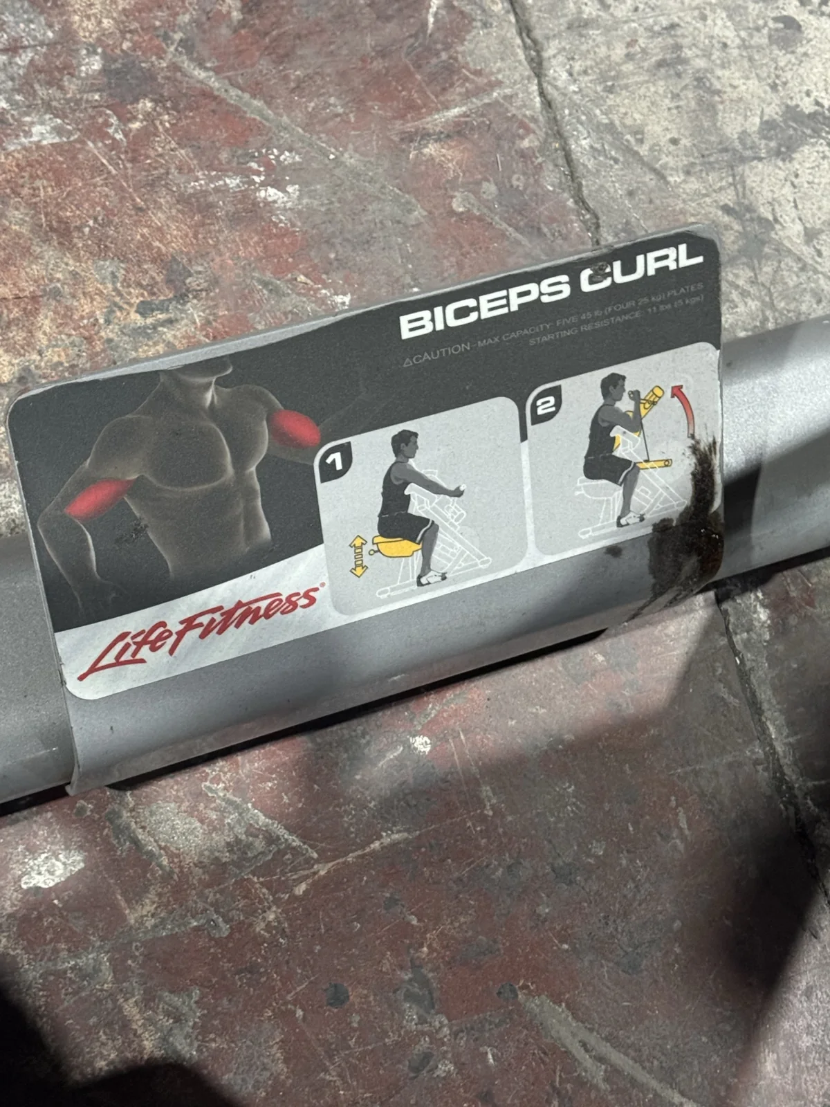 Pre-owned Life Fitness Signature Series plate-loaded biceps curl — instruction label