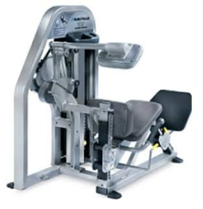 Reference image: Nautilus Nitro Plus Lower Back